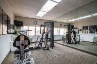 Comfort Inn & Suites Madison - Airport - Gym