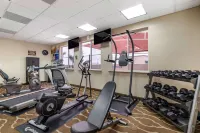 Comfort Inn & Suites Lakeside - salle de sport