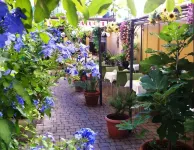 Albergo Natucci