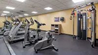 Comfort Inn Eagan Minneapolis - St. Paul South - Gym