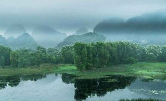 Van Long Family Homestay