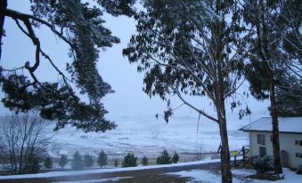 Rainbow Pines Tourist Caravan Park