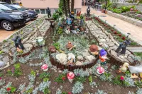Family Hotel Venera Hotels in Єленіте