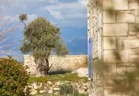 Orelia Cretan Deluxe Apartments - Mountain view