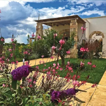 Tenuta Vigna Corallo - Mimosa