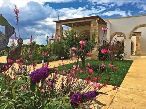 Tenuta Vigna Corallo - Mimosa