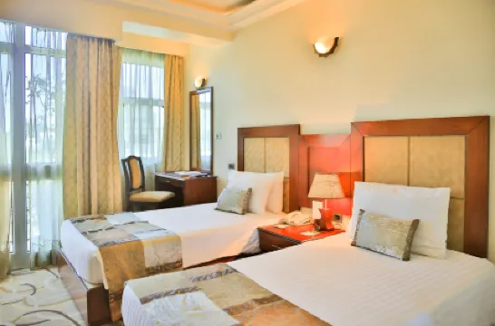 尼克薩斯瑞士酒店