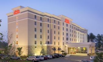 Hampton Inn & Suites Raleigh-Durham Airport-Brier Creek