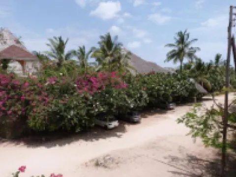 Aquarius Club Hotels in 