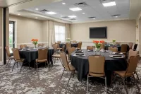 Hilton Garden Inn Atlanta Perimeter Center - Pool