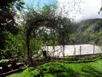 Tea Garden Holiday Inn