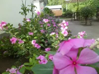 Villa Karang Homestay
