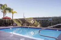 Comfort Inn & Suites Near Kino Sports Complex - Kolam Renang