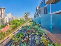City Express Plus by Marriott Guadalajara Providencia Hotels near Financial District