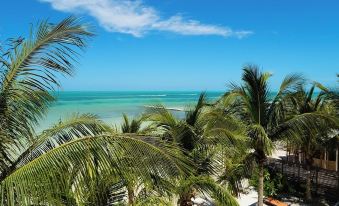 Choby's House Holbox