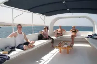 더 로열 럭셔리 타이거 파티오