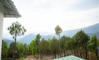 Bluepine Orchard