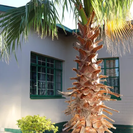 De Ellas Boutique Lodge