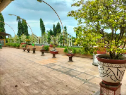 Sunflower Banyuwangi Hotel 外南夢區住宿飯店