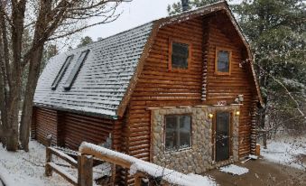 Black Forest B&B Lodge & Cabins