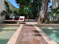Casa Zafiro Hotel - Adults Only, Mérida - Pools