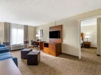 Comfort Inn & Suites St Pete - Clearwater International Airport Hotels in Pinellas County