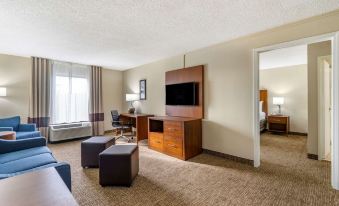 Comfort Inn & Suites St Pete - Clearwater International Airport