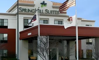 SpringHill Suites Chicago Bolingbrook