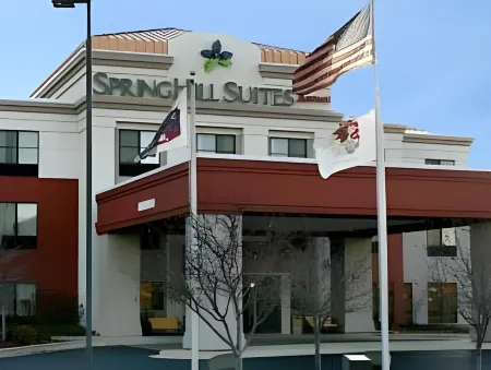 SpringHill Suites Chicago Bolingbrook Отели рядом с достопримечательностью «Парк Плиммер»