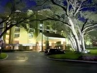 SpringHill Suites Fort Lauderdale Airport & Cruise Port Hotels in Dania Beach