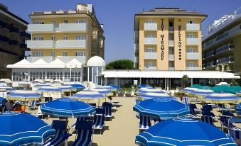 Hotels Vidi Miramare & Delfino