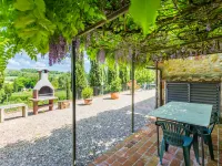 Il Sangiovese
