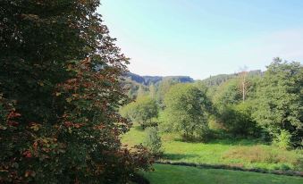 Splendid Mansion in Bastogne with Fenced Garden