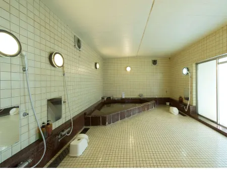 Matsuya Ryokan Отели в г. Моока