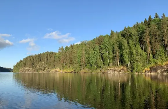 卡雷里亞弗雷斯特旅館