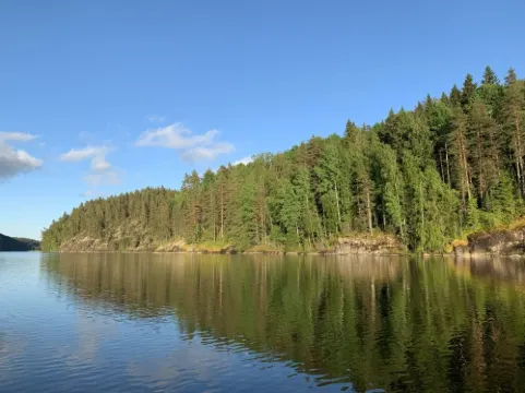Forrest Lodge Karelia