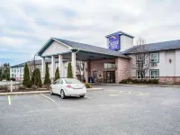 佈雷斯橋斯利普酒店 佈雷斯橋酒店