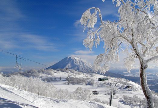 니세코 노던 리조트 안누푸리