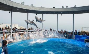 Hotel Sun Valley - Annex