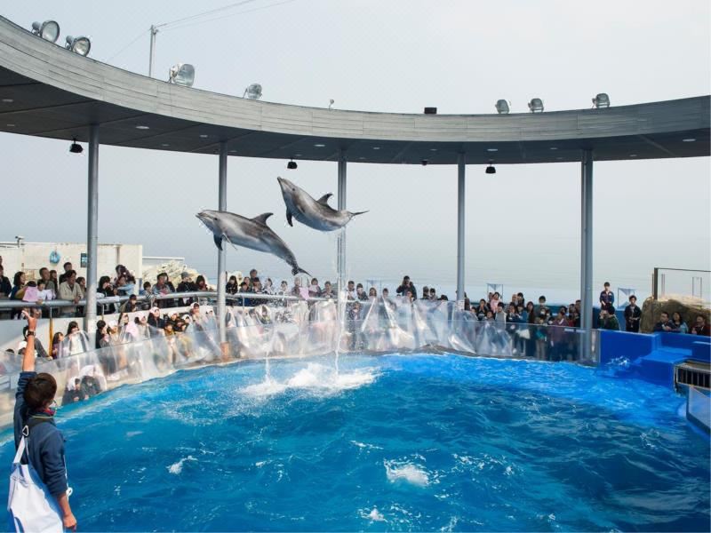 호텔 선 밸리 아넥스의 깔끔한 로비 전경