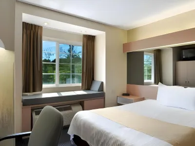 Microtel Inn by Wyndham Albany Airport Hotels in Latham