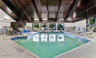 Best Western Plus Flint Airport Inn  Suites