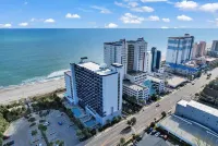 NEW! 10th Floor! Tip-Sea Turtle, Beach View! Hotels in 