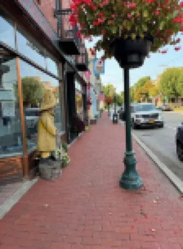 The Peach Door Annex for 2 - Safe, Quiet, Walkable in Youngstown, NY