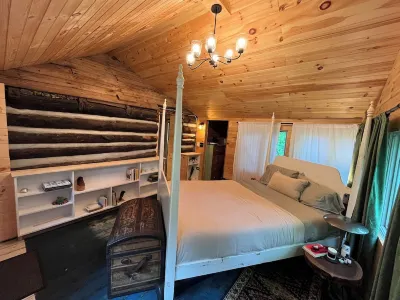 Peaceful Forest Cabin