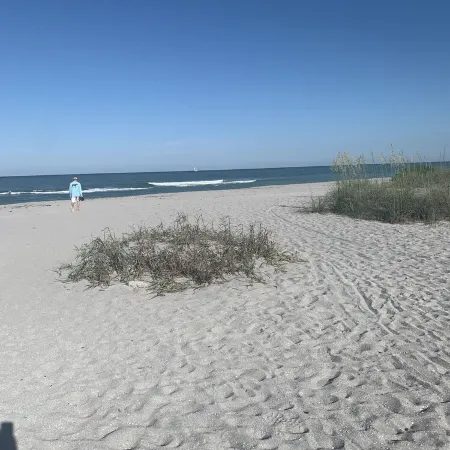 Venice Island! 3 Block Walk to Beach. Close to Sharkey's and the Pier.