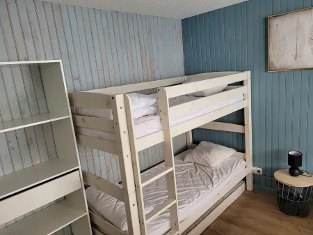 Appart F2 36m2 4-6 Pers, 2 Etoiles Pied des Pistes