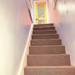 Cozy apartment near all