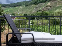 Ruhig Gelegenes Ferienhaus mit Sauna Direkt an der Mosel 特里滕海姆住宿飯店