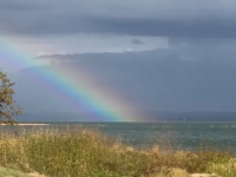 Roadside at 'Bout DAM Time - Cozy Lakeside Cabin, Nature Retreat, & Brew Pub! Hotels in Buchanan Dam